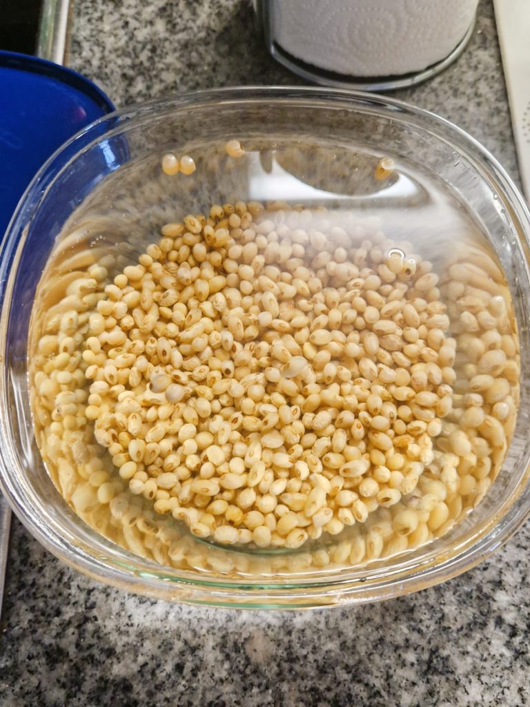 大豆を水に浸しているところ
